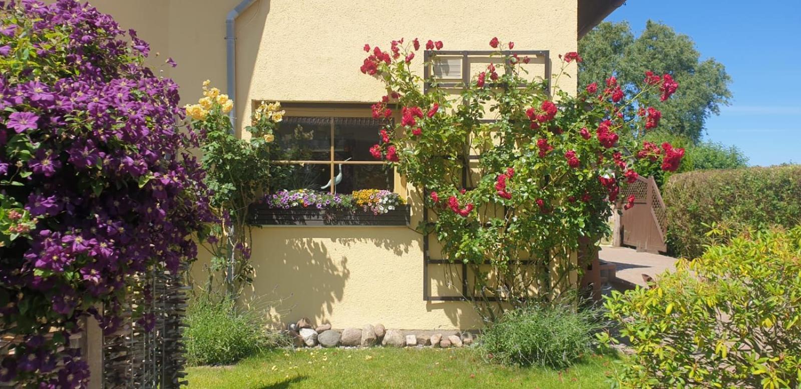 Ostseeferien In Lichtenhagen-Dorf Ferienwohnung Эльменхорст Экстерьер фото
