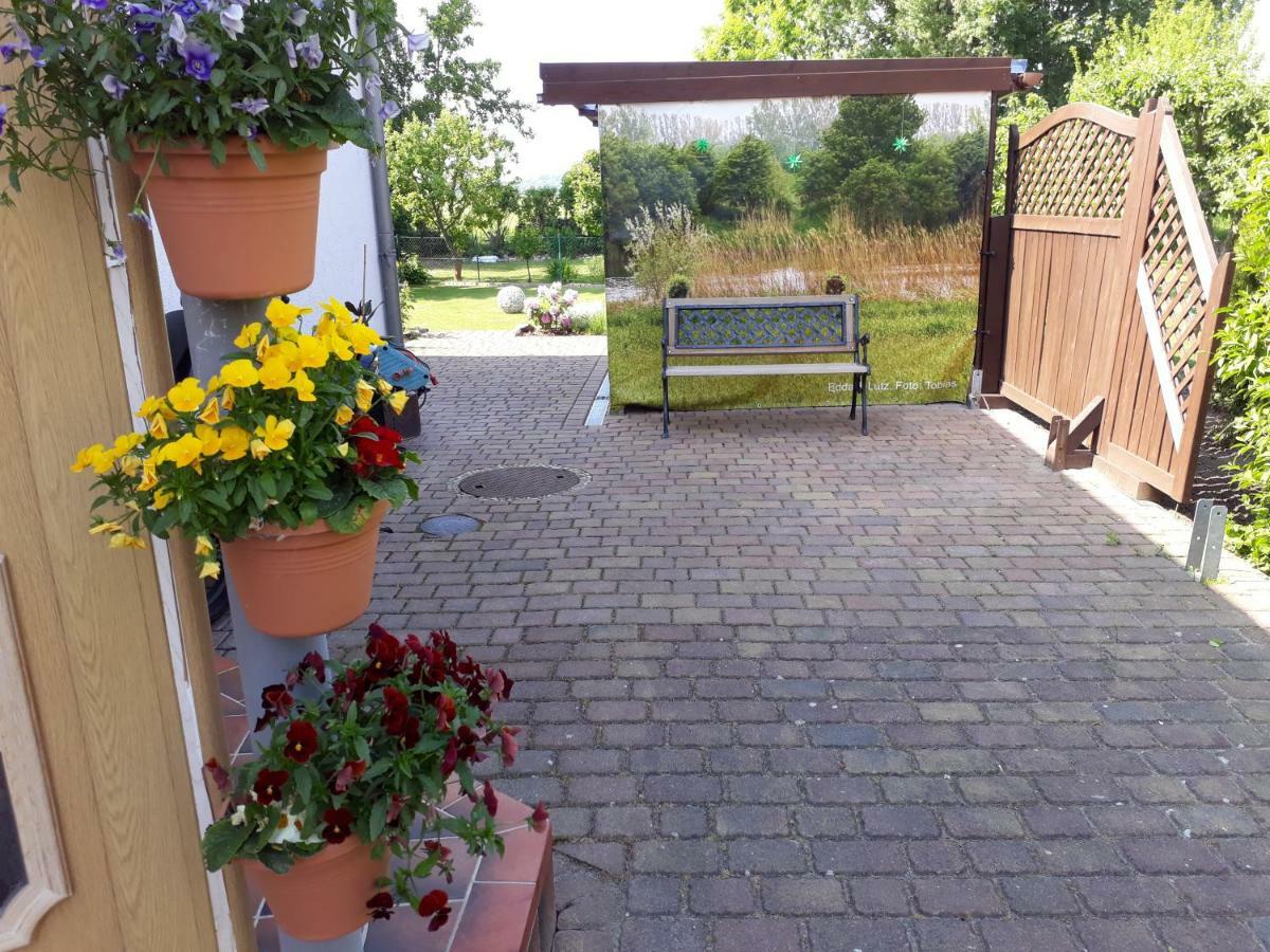Ostseeferien In Lichtenhagen-Dorf Ferienwohnung Эльменхорст Экстерьер фото